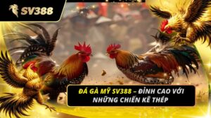 Đá Gà Mỹ SV388