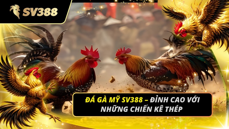 Đá Gà Mỹ SV388
