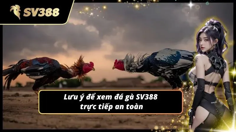 Những quy tắc bảo mật khi truy cập cách xem đá gà trực tiếp