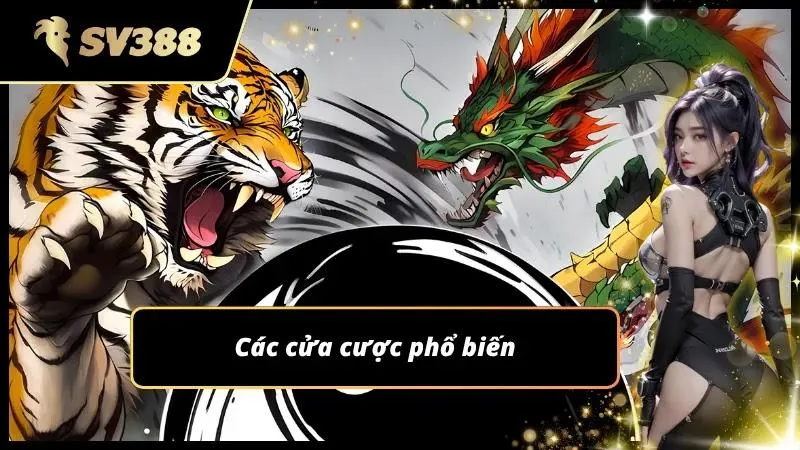 3 cửa cược mà khách hàng có thể chọn lựa để làm giàu